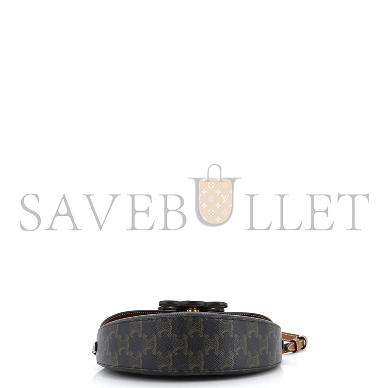 CELINE SHOULDER BAG IN BESACE TRIOMPHE FULL LEATHER 111233DU3.04LV (23*13.5*6cm)