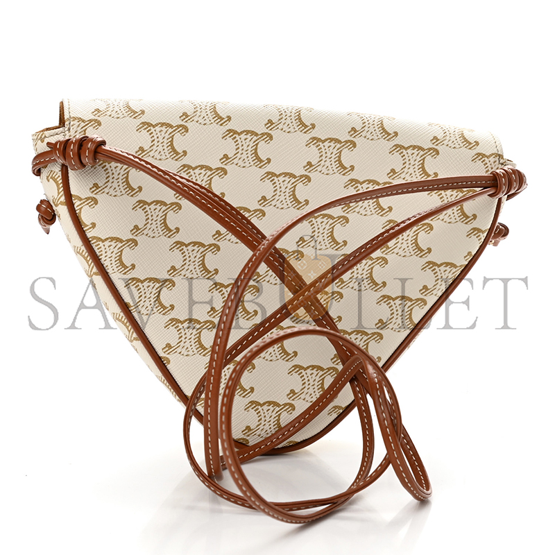 CELINE CROSSBODY BAG IN TRIOMPHE CANVAS AND CALFSKIN 195902BZK.01BC (21*15*4cm)